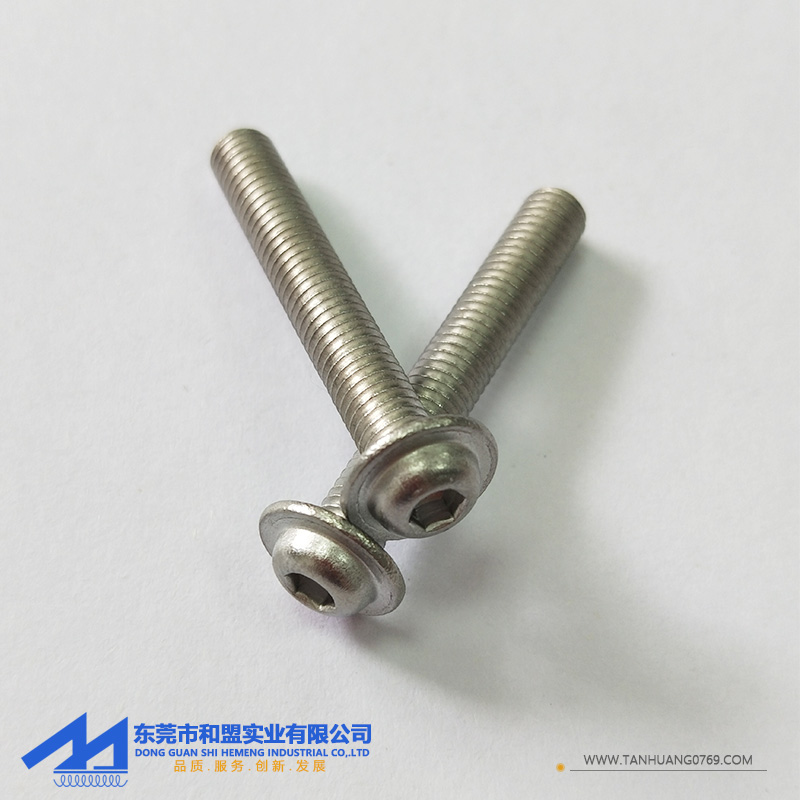 圓頭內六角不銹鋼螺絲LS-02
